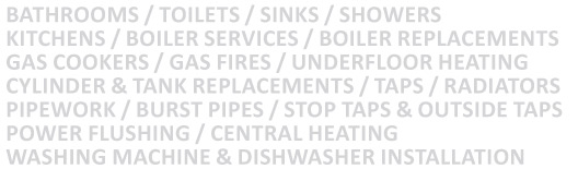 TPB Plumbing list of services